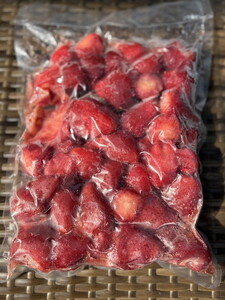 《選べる品種！》とちおとめ とちあいか 冷凍いちご 1kg〔B-103〕 | いちご イチゴ 苺 フルーツ 果物 デザート ストロベリー 冷凍 ジャム スムージー フローズン 那須 栃木県 那須町