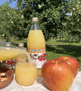 りんごジュース 1L×2本〔P-231〕|りんご 林檎 リンゴ おいしい スイーツ セット 那須 大野りんご園 栃木県 那須町