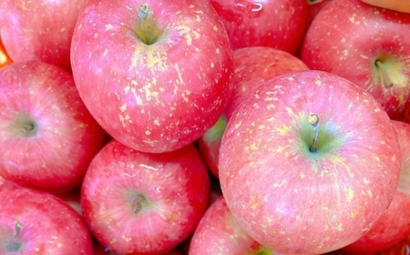 りんごジュース 1L×2本〔P-231〕|りんご 林檎 リンゴ おいしい スイーツ セット 那須 大野りんご園 栃木県 那須町