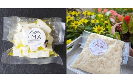 【定期便3ヵ月】今牧場の人気チーズ詰め合わせセット | チーズ 食べ比べ セット おつまみ 晩酌 乳製品 那須 栃木県 那須町〔D-65〕