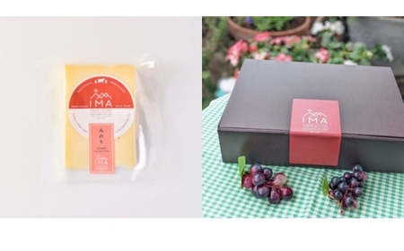 【定期便3ヵ月】今牧場の人気チーズ詰め合わせセット | チーズ 食べ比べ セット おつまみ 晩酌 乳製品 那須 栃木県 那須町〔D-65〕