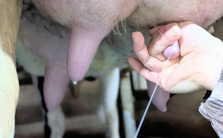 【土日祝日限定】今牧場の牧場体験 ペアチケット ｜ 牧場 体験 バター作り 搾乳 体験型 見学 那須 栃木県 那須町〔P-266〕