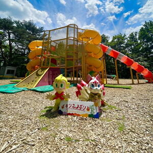 NOZARU KOZARU キツネノボリ 施設利用券3,000円分（3,000円×1枚）｜体験 アスレチック アクティビティ 遊び 観光 旅行 子供 チケット 那須 栃木県 那須町〔B-112〕