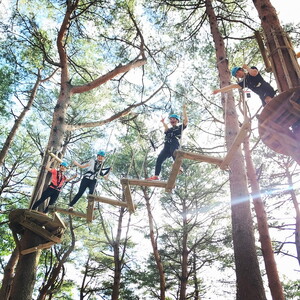 NOZARU KOZARU キツネノボリ 施設利用券12,000円分（3,000円×4枚）｜体験 アスレチック アクティビティ 遊び 観光 旅行 子供 チケット 那須 栃木県 那須町〔P-282〕