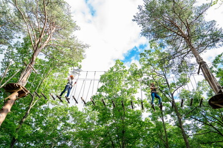 NOZARU KOZARU キツネノボリ 施設利用券15,000円分（3,000円×5枚）｜体験 アスレチック アクティビティ 遊び 観光 旅行 子供 チケット 那須 栃木県 那須町〔E-54〕