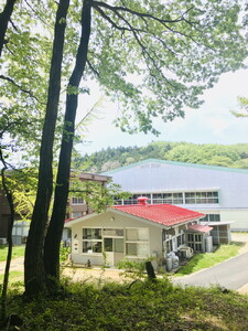 スペシャルティコーヒードリップパック（10個入り）｜ コーヒー ドリップパック 珈琲 直火焙煎 那須町 栃木県 〔P-348〕