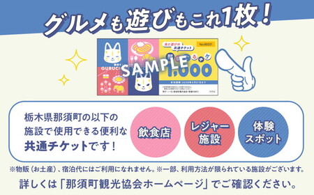 那須町グルメ＆レジャー共通券「那須ぐるチケ」3,000円分（1,000円券×3枚）〔B-137〕｜ 栃木県 那須 商品券 クーポン券 割引券 食事券 日帰り 旅行 観光 サファリパーク 動物園 遊園地 《2026年3月末までの申込みで有効期限延長！》