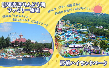 那須町グルメ＆レジャー共通券「那須ぐるチケ」3,000円分（1,000円券×3枚）〔B-137〕｜ 栃木県 那須 商品券 クーポン券 割引券 食事券 日帰り 旅行 観光 サファリパーク 動物園 遊園地 《2026年3月末までの申込みで有効期限延長！》