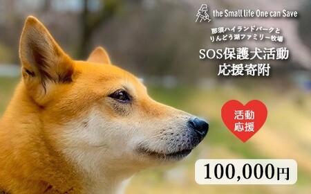 那須ハイ＆りんどう湖　SOS保護犬活動　お礼品なし〔G-53〕｜保護犬 支援 動物愛護 応援 地域応援 愛犬 愛犬家 動物 ペット 社会貢献 保護活動 那須 栃木県 那須町