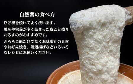 【先行予約】那須町産　自然薯1kg 贈り物 化粧箱入り 那須町 〔B-38〕※2023年11月中旬頃より順次発送予定