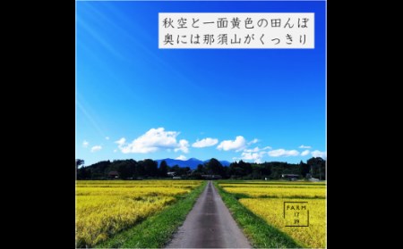 【5カ月定期便】絶品！もっちり特別栽培米5kg＆サクサクやみつきイナポン10袋セット お米 精米 定期便 国産 栃木県 那須町産 ポン菓子 〔G-14〕