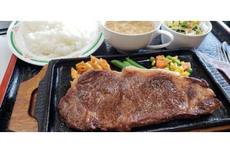 栃木県産那須の後藤牛ロースステーキ用　10枚 牛肉 国産 冷凍 ステーキ 那須町〔G-52〕