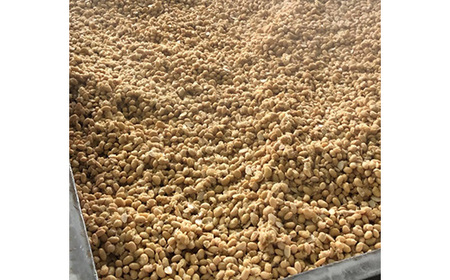 那須みそ 3kg（1kg×3袋）｜ 那須ブランド 国産 大豆 米 米こうじ 米味噌 那須町〔B-138〕