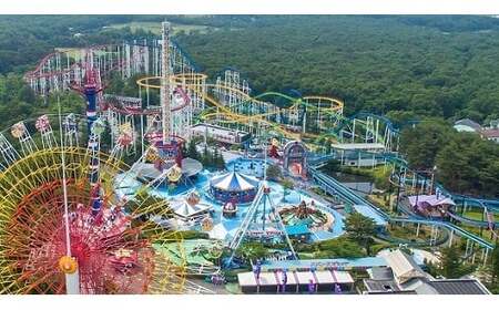 TOWAピュアコテージ　貸別荘宿泊券（1泊素泊まり）〔I−5〕