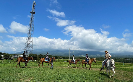 那須高原を馬とめぐる2時間のホーストレッキング 外乗ペア利用券【平日限定】チケット 利用券 ペア 体験 乗馬 初心者歓迎〔P-100〕