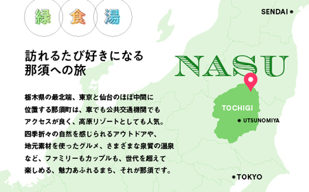 【年内発送 12/20迄受付】那須温泉旅館協同組合 ご宿泊利用券 120,000円分（3,000円×40枚）〔M-1〕｜宿泊 旅行 チケット 宿泊券 温泉 露天風呂 旅行券 ホテル 観光 国内旅行 那須 栃木県 那須町