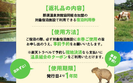 【年内発送 12/20迄受付】那須温泉旅館協同組合 ご宿泊利用券 120,000円分（3,000円×40枚）〔M-1〕｜宿泊 旅行 チケット 宿泊券 温泉 露天風呂 旅行券 ホテル 観光 国内旅行 那須 栃木県 那須町