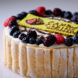 キャンプ・アンド・キャビンズ那須高原オリジナル切り株ケーキ（ショートケーキ）【C-51】 ※着日指定不可