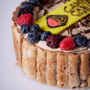 キャンプ・アンド・キャビンズ那須高原オリジナル切り株ケーキ（チョコレートケーキ）【C-52】 ※着日指定不可