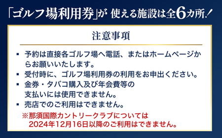 那須でゴルフを満喫！ゴルフ場利用券45,000円分｜ゴルフ ゴルフ場 利用券 チケット プレーチケット 体験 旅行 観光 プレー券 那須 栃木県那須町 那須町〔H-12〕※着日指定不可 ※離島への配送不可