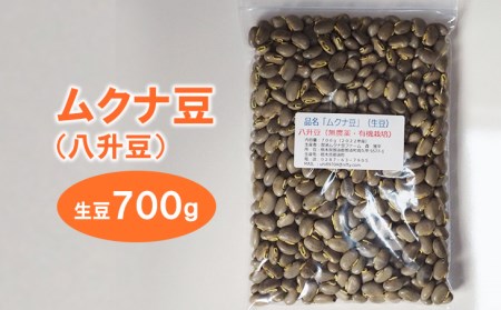 食品ムクナ豆★2kg