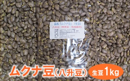 ムクナ豆(八升豆) 2kg-