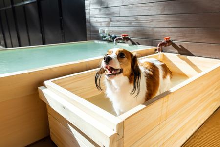 四季の宿 こよみ 宿泊利用券 15,000円(ゆきみそう別邸が令和6年7月1日「四季の宿こよみ」にリブランド致しました)|宿泊 旅行 チケット 宿泊券 旅行券 観光 国内旅行 那須 栃木県 那須町〔E-39〕