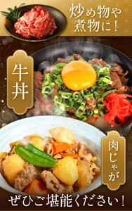 【定期便6回】栃木県産黒毛和牛切り落とし1.0kg｜和牛 牛肉 切り落とし 切落し すき焼き 美味しい 高級 ご褒美 肉 ふるさと 納税 送料無料 那珂川町 栃木県