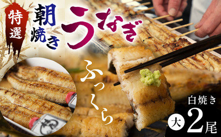 特選ふっくら朝焼きうなぎ　林屋（白焼き大２尾）| 特選ふっくら朝焼きうなぎ 林屋 白焼き 特選白焼き 白焼きうなぎ 高級林屋 ふるさと 納税 栃木県 那珂川町 送料無料