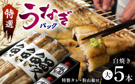 特選うなぎパック５本セット　タレ、粉山椒付 | 特選うなぎ 贅沢うなぎ 5本セット 高級うなぎ 肉厚 炭火焼うなぎ 贅沢 肉厚うなぎ蒲焼特選 炭火焼うなぎ ギフト ふるさと納税 栃木県 那珂川町 送料無料 