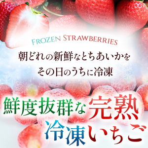 【栃木県共通返礼品】【定期便3回】冷凍いちご 1kg | いちご とちあいか 冷凍 冷凍イチゴ スイーツ ジャム スムージー たっぷり 大粒  甘い 美味しい 果物 デザート 栃木県 那珂川町 送料無料