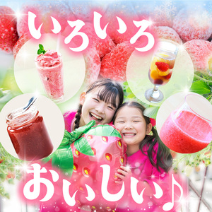 【栃木県共通返礼品】【定期便9回】冷凍いちご 2kg | いちご とちあいか 冷凍 冷凍イチゴ スイーツ ジャム スムージー たっぷり 大粒  甘い 美味しい 果物 デザート 栃木県 那珂川町 送料無料