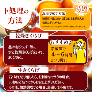 【定期便6回】乾燥きくらげ 8g×5P ともちゃん農園|定期便 乾燥きくらげ きくらげ 贈答用 乾燥 きくらげ 食物繊維 鉄分 カルシウム ビタミンD カリウム アミノ酸  高血圧予防 ふるさと 納税 栃木県 那珂川町 送料無料