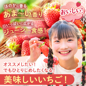【先行予約】【期間限定】那珂川町産とちあいか 1月発送分 300g×2×2 |いちご とちあいか ジューシー フルーティー 大きい 新鮮 甘い 美味しい 果物 共通返礼品 フルーツ デザート 栃木県 那珂川町 送料無料