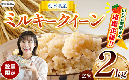 【栃木県共通返礼品】【数量限定】令和7年度 栃木県産ミルキークイーン 2kg | 数量限定ミルキークイーン  玄米 米 ごはん 玄米密閉パック ふるさと納税 那珂川町 栃木県