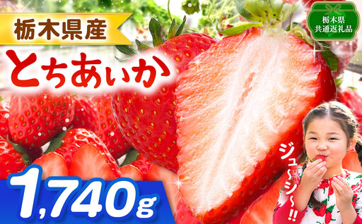 【栃木県共通返礼品】とちあいか 1740g | 果物 くだもの フルーツ 野菜 やさい ヤサイ 苺 イチゴ いちご とちあいか 新鮮 甘い 数量 限定 美味しい 果物 共通返礼品 フルーツ デザート 栃木県 那珂川町 送料無料