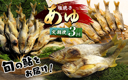 【2026年先行予約】【定期便3回】旬の「鮎」をお届け 林屋 | 早月あゆ 活〆鮎塩焼  子持ちあゆ 塩焼き 活鮎 子持ちあゆ 塩焼き  新鮮子持ち鮎 旬 定期便  お届け 林屋 鮎 旬の鮎 あゆ  直送 旬 ギフト ふるさと納税 栃木県 那珂川町 送料無料