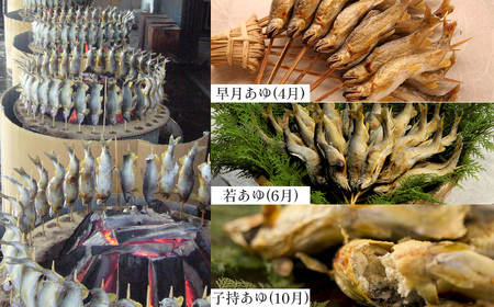 【2026年先行予約】【定期便3回】旬の「鮎」をお届け 林屋 | 早月あゆ 活〆鮎塩焼  子持ちあゆ 塩焼き 活鮎 子持ちあゆ 塩焼き  新鮮子持ち鮎 旬 定期便  お届け 林屋 鮎 旬の鮎 あゆ  直送 旬 ギフト ふるさと納税 栃木県 那珂川町 送料無料