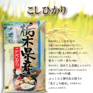 栃木県共通返礼品】【令和7年度新米先行予約】栃木県産
