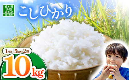【栃木県共通返礼品】【令和7年度産】栃木県産コシヒカリ 10kg | ふるさと 納税 コシヒカリ お米 精米 白米 玄米 大粒 共通返礼品 送料無料 那珂川町 栃木県