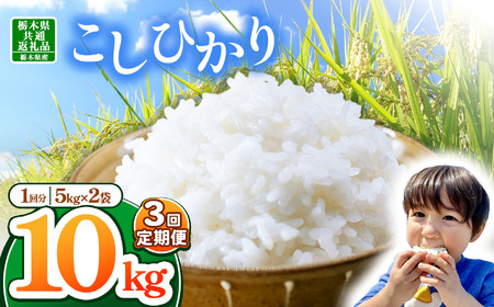 【栃木県共通返礼品】【令和7年度産】栃木県産コシヒカリ 30kg |定期便 選べる ふるさと 納税 コシヒカリ お米 精米 白米 玄米 大粒 共通返礼品 送料無料 那珂川町 栃木県