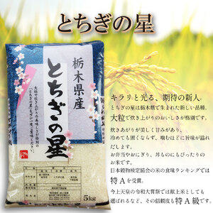 【栃木県共通返礼品】【令和7年度産】栃木県産とちぎの星 10kg | ふるさと 納税 とちぎの星 お米 精米 白米 玄米 大粒 共通返礼品 送料無料 那珂川町 栃木県