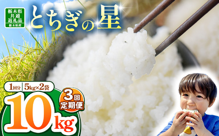 【栃木県共通返礼品】【令和7年度産】栃木県産とちぎの星 30kg |定期便 選べる ふるさと 納税 とちぎの星 お米 精米 白米 玄米 大粒 共通返礼品 送料無料 那珂川町 栃木県