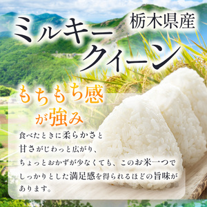 【栃木県共通返礼品】【定期便3回】令和7年度 栃木県産ミルキークイーン 2kg
