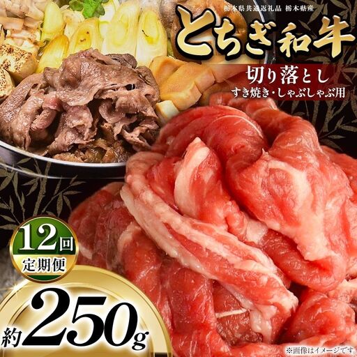 【定期便12回】最高位賞を受賞！最高級ブランドの柔らかく風味豊かなとちぎ和牛切り落とし 250g（すき焼き・しゃぶしゃぶ用） | 霜降り 和牛 切り落とし とろける 品質 柔らかく 銘柄牛 安心 安全 美味しい おいしい 芸術品 特産品 ふるさと 納税 栃木県共通返礼品 栃木県 那珂川町 送料無料