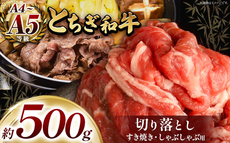 最高位賞を受賞！最高級ブランドの柔らかく風味豊かなとちぎ和牛切り落とし 500g（すき焼き・しゃぶしゃぶ用） | 霜降り 和牛 切り落とし とろける 品質 柔らかく 銘柄牛 安心 安全 美味しい おいしい 芸術品 特産品 ふるさと 納税 栃木県共通返礼品 栃木県 那珂川町 送料無料