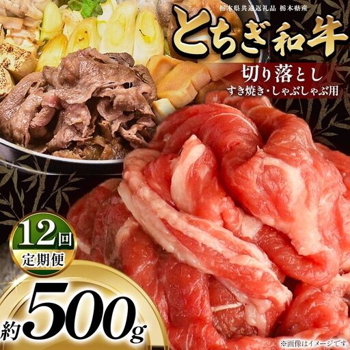 【定期便12回】最高位賞を受賞！最高級ブランドの柔らかく風味豊かなとちぎ和牛切り落とし 500g（すき焼き・しゃぶしゃぶ用） | 霜降り 和牛 切り落とし とろける 品質 柔らかく 銘柄牛 安心 安全 美味しい おいしい 芸術品 特産品 ふるさと 納税 栃木県共通返礼品 栃木県 那珂川町 送料無料