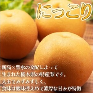 【2026年先行予約】栃木県共通返礼品 宇都宮産 にっこり 5kg | にっこり 新高 豊水 梨 なし 新品種 先行予約 大粒 新鮮 甘い 美味しい 果物 共通返礼品 フルーツ デザート 栃木県 那珂川町 送料無料