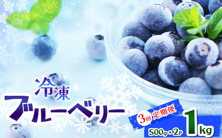 【定期便3回】完熟 冷凍ブルーベリー 約 1kg