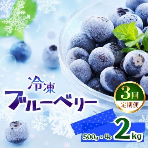 【定期便3回】完熟 冷凍ブルーベリー 約 2kg